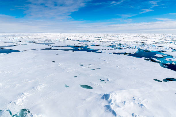 istock Ice landcape on the water in Arctic 1013398116