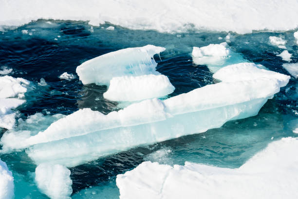 istock Ice landcape on the water in Arctic 1013398144