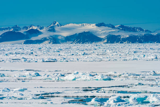 istock Ice landcape on the water in Arctic 1013398218