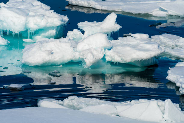 istock Ice landcape on the water in Arctic 1013400244