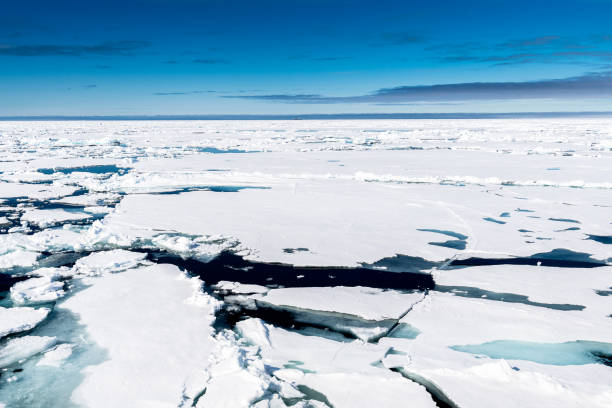 istock Ice landcape on the water in Arctic 1013400260
