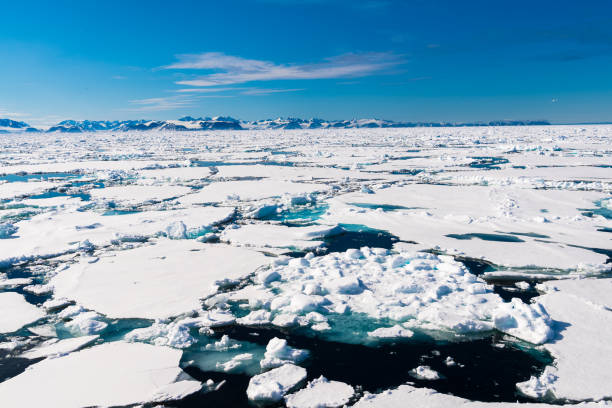 istock Ice landcape on the water in Arctic 1013400286