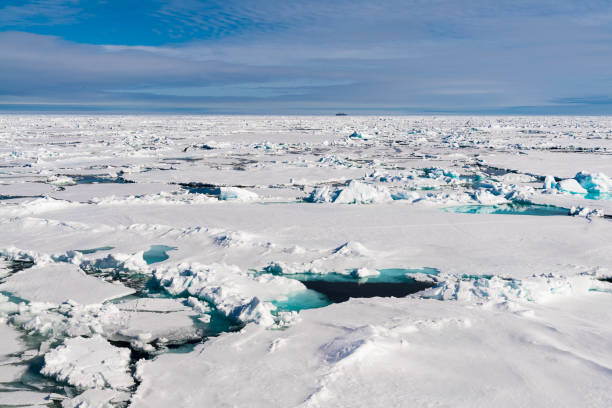 istock Ice landcape on the water in Arctic 1013400290