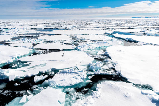 istock Ice landcape on the water in Arctic 1013400316