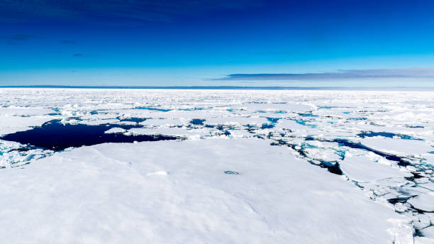 istock Ice landcape on the water in Arctic 1013400426