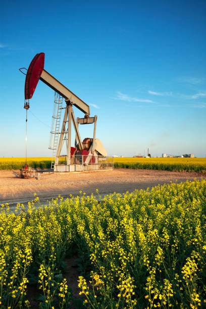 prateria oil saskatchewan canada - oil pump oil industry prairie field foto e immagini stock