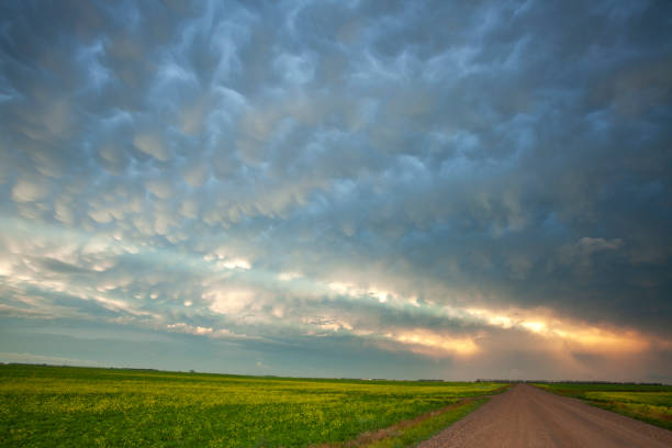 pradaria tempestade saskatchewan canada - saskatchewan country road road prairie - fotografias e filmes do acervo