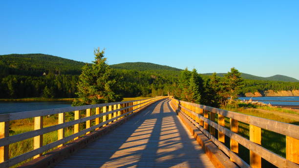 Footbridge of the Forillon National Park (horizontal) Footbridge of the Penouille sector of Forillon National Park in Gaspésie, Quebec forillon national park stock pictures, royalty-free photos & images