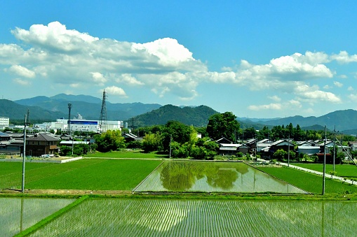 Rural landscape of Japan after rice-planting, taken from Tokaido Shinkansen Super Express in Shiga Prefecture before reaching Kyoto from Nagoya.
