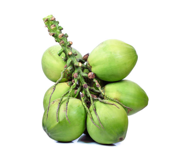 istock Green coconut isolated on white background 1013419726
