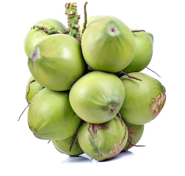 istock Green coconut isolated on white background 1013424642
