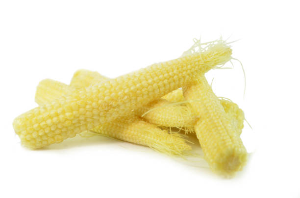 istock Heap of fresh young baby corn 1013424928
