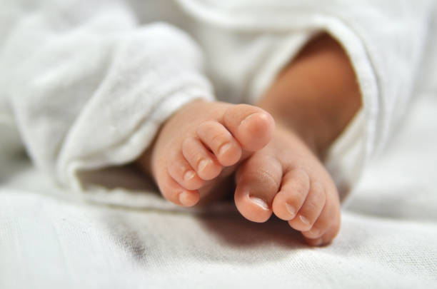 Cute baby feet hiding in white blanket