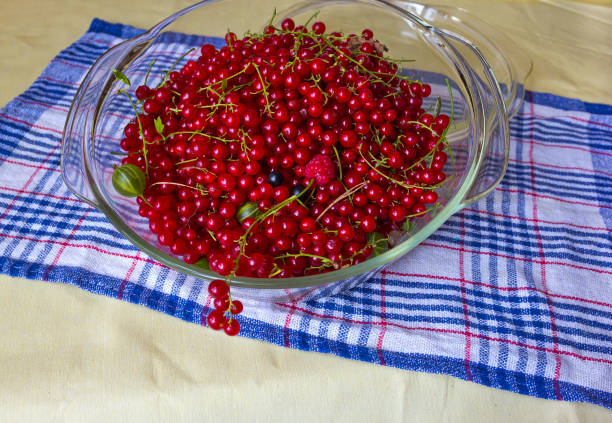 Red currant berries in a glass bowl