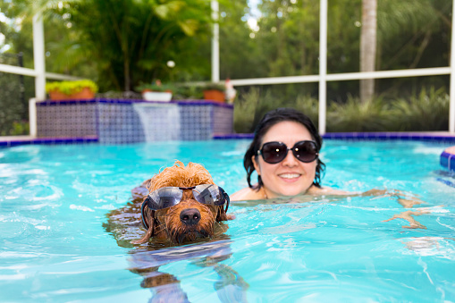 dog and woman swimming in pool wearing sunglasses.