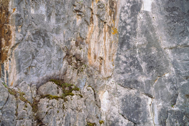 istock Beautiful rocky gray textured background with mosses and lichens. Surface mountain cliff close-up. 1013458382