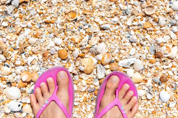 Flat top view down of orange yellow sea shells in Marineland, Florida beach with woman's feet, pink slippers, with pattern of sand