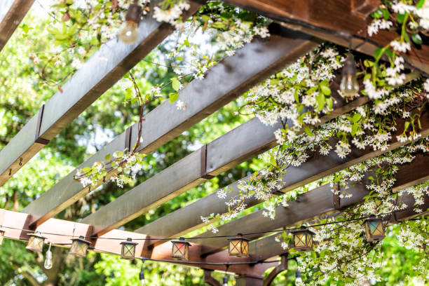 nahaufnahme der terrasse im freien feder blumengarten im hinterhof veranda des hauses, zen mit pergola überdachung aus holz pavillon, pflanzen - spalier stock-fotos und bilder