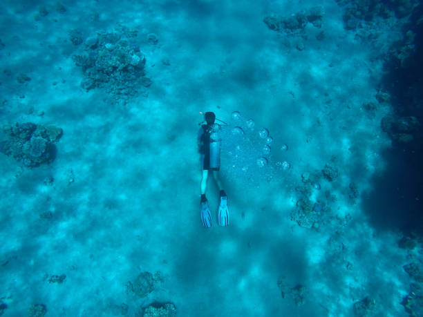 istock Coral reefs under water, diving, snorkling 1013479162