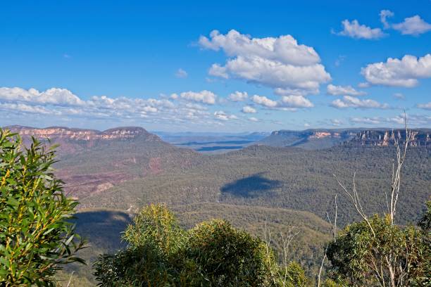 ブルーマウンテン シドニー近くの広がりのワイド アングル ビュー - canyon blue mountain majestic ストックフォトと画像