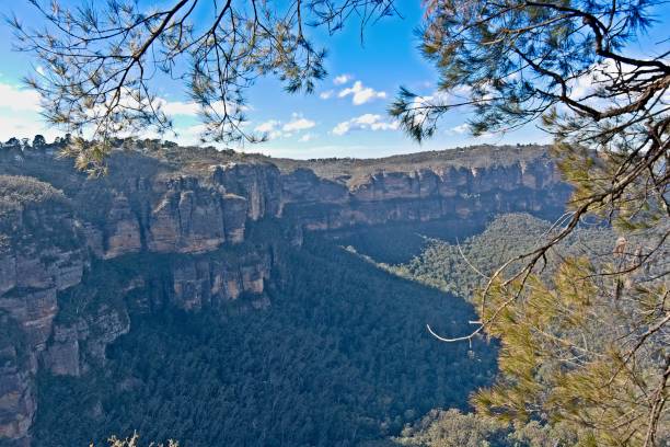 블루 마운틴 시드니 근처의 넓은 각도 보기 - blue mountains australia sydney australia new south wales 뉴스 사진 이미지