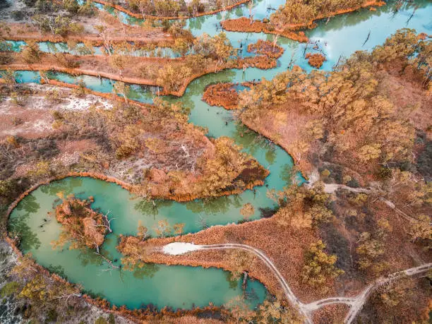 Aerial view of amazing meandering river among gum trees in Australia