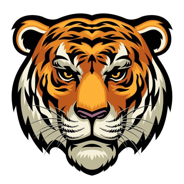 tiger head - tierkopf stock-grafiken, -clipart, -cartoons und -symbole