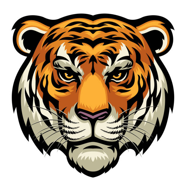 ilustraciones, imágenes clip art, dibujos animados e iconos de stock de cabeza de tigre - cabeza de animal