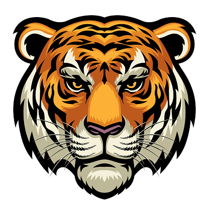 vector of tiger head in complex and detailed style