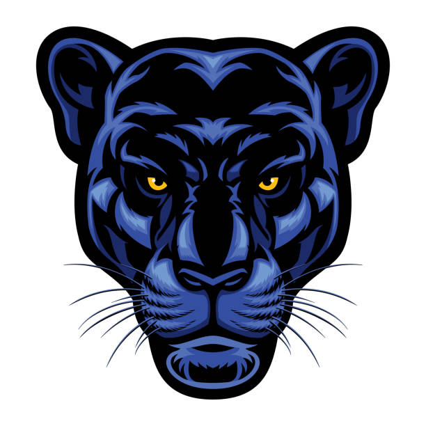 Black Panther Head Stock Illustration - Download Image Now - Black Leopard, Animal, Animals Attacking - iStock Black Panther Head Stock Illustration - Download Image Now - Black Leopard, Animal, Animals Attacking - iStock