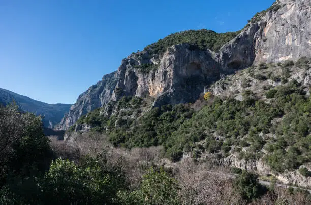 Photo of Canyon of the river Pinios with cliffs on its banks at sunny winter day In the valley of Tempi in Larissa, Greece