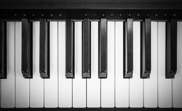 istock Close up piano Keys in black and white, Backgrounds 1013502514
