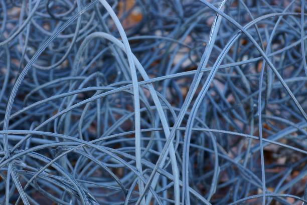 istock gray plastic texture of an old thin cable in a skein 1013502540