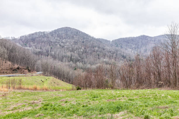 smoky mountains landscape near asheville, north carolina at tennessee border at winter, spring, clouds, cloudy overcast sky, green grass, highway road - tennessee great smoky mountains great smoky mountains national park north carolina imagens e fotografias de stock