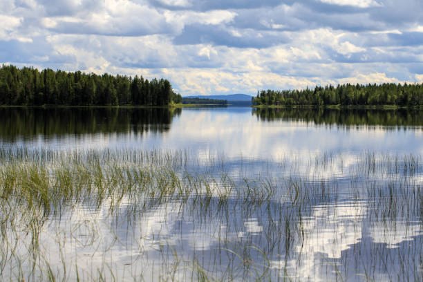 istock Cloudy day on the lake, Finland 1013511080