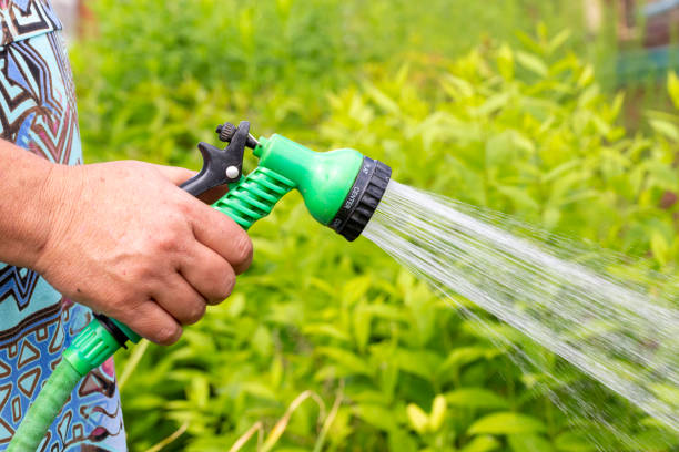 istock Hand watering plants in vegetable garden. close up 1013511924