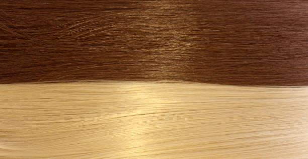istock blond and brown hair texture 1013530454