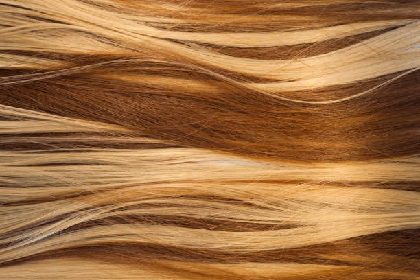 istock blond and brown hair texture 1013530462