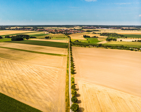 Aerial view from a straight dirt road, which is designed as an avenue with a row of trees, to a village on the horizon.