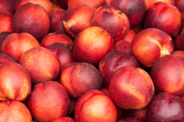 pesche nettarine al mercato - nectarine peach red market foto e immagini stock