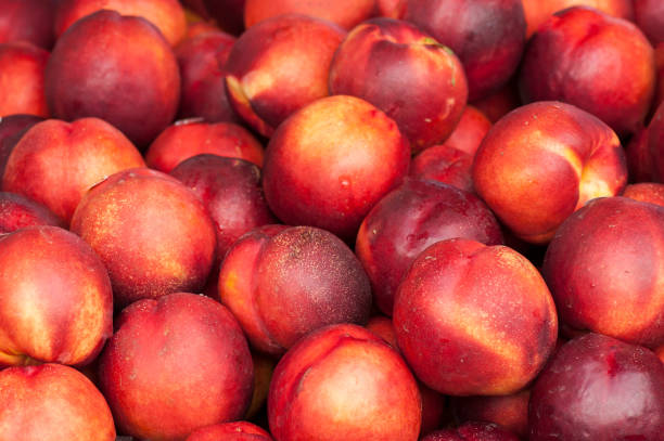 nectarines peaches at the market - nectarine peach red market imagens e fotografias de stock