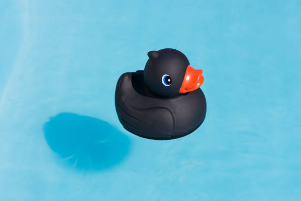 istock A single black rubber duck floats in a paddling pool 1013536224