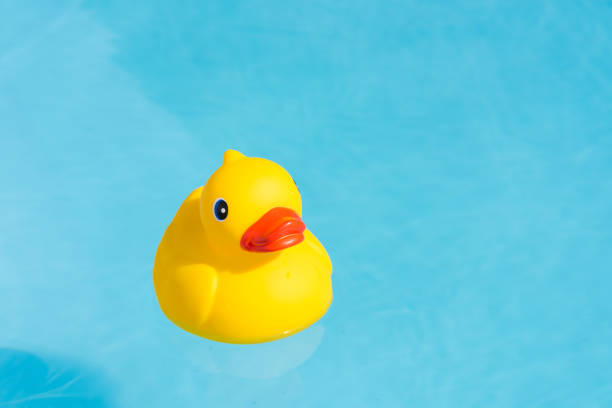 istock A single yellow rubber duck floats in a paddling pool 1013536730