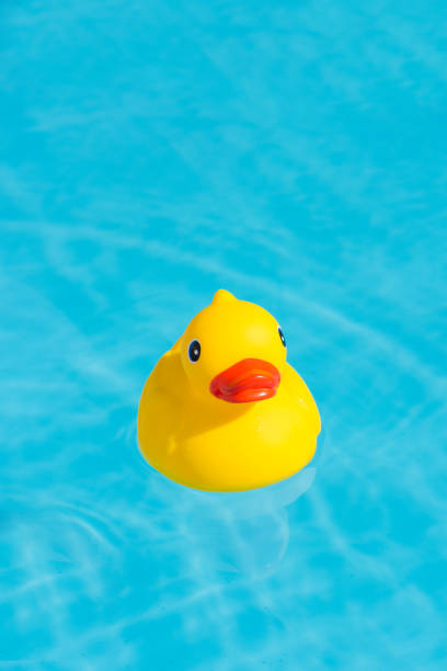 istock A single yellow rubber duck floats in a paddling pool 1013541994