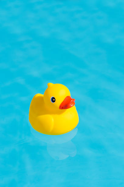 istock A single yellow rubber duck floats in a paddling pool 1013542734