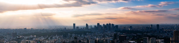 istock Tokyo cityscape. Panorama view. 1013558638