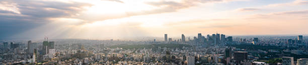 istock Tokyo cityscape. Panorama view. 1013558670