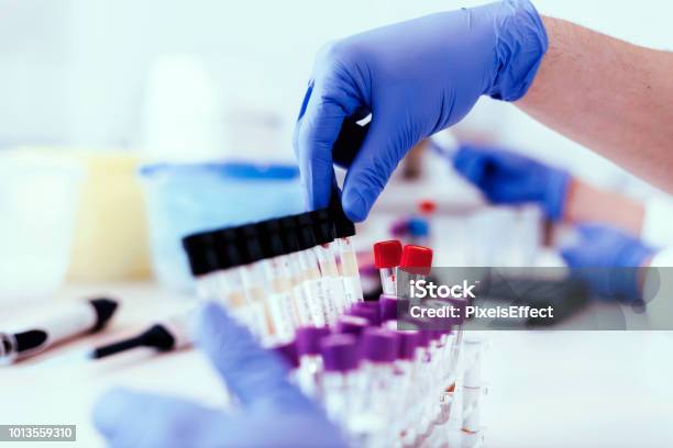 The Answers Lie In The Evidence Stock Photo - Download Image Now - Laboratory, Drug Test, Medical Exam