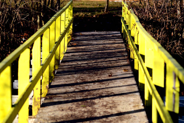 Yellow wooden bridge in the forest. Illuminated by sun. Autumn feeling.