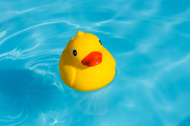 istock A single yellow rubber duck floats in a paddling pool 1013567532